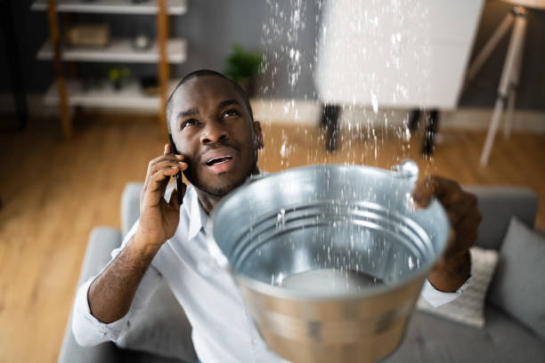 Best Mold removal after water damage  in Kotzebue, AK