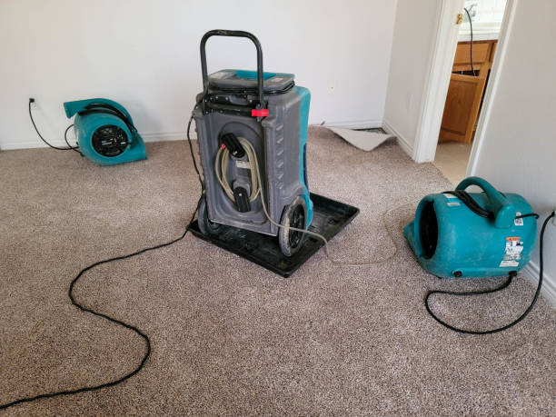Best Water damage restoration near me  in Kotzebue, AK