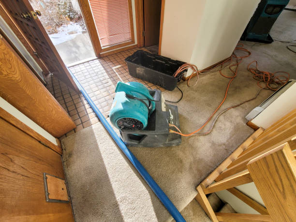 Best Professional water damage repair  in Kotzebue, AK