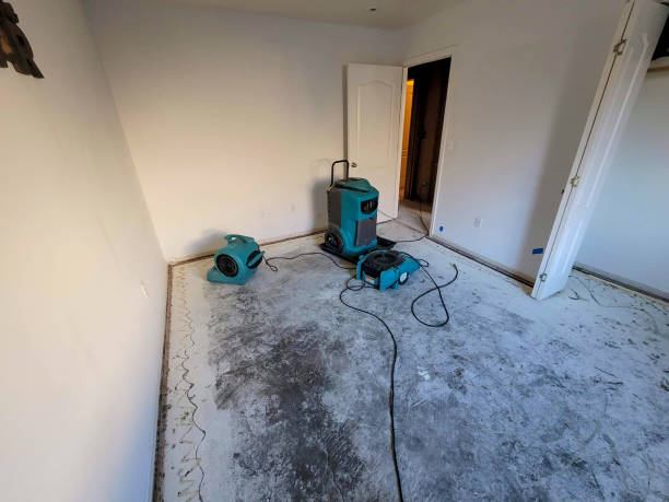 Best Basement water damage restoration  in Kotzebue, AK