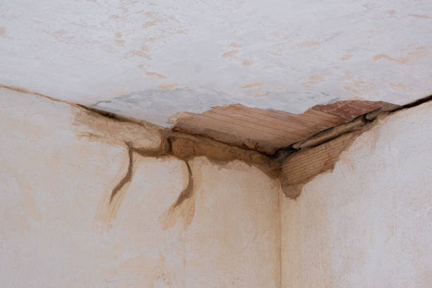 Best Water damage cleanup near me  in Kotzebue, AK