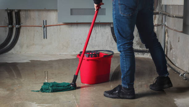 Best Flooded house restoration  in Kotzebue, AK