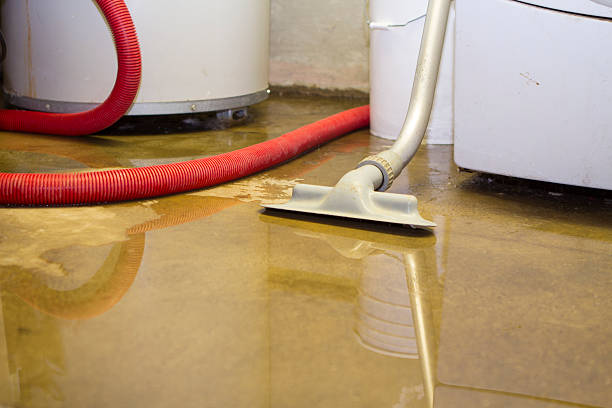 Best Basement water damage restoration  in Kotzebue, AK