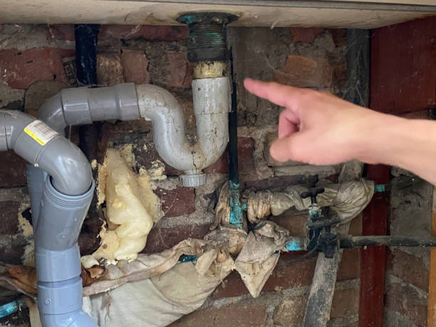 Best Fire Damage Restoration  in Kotzebue, AK